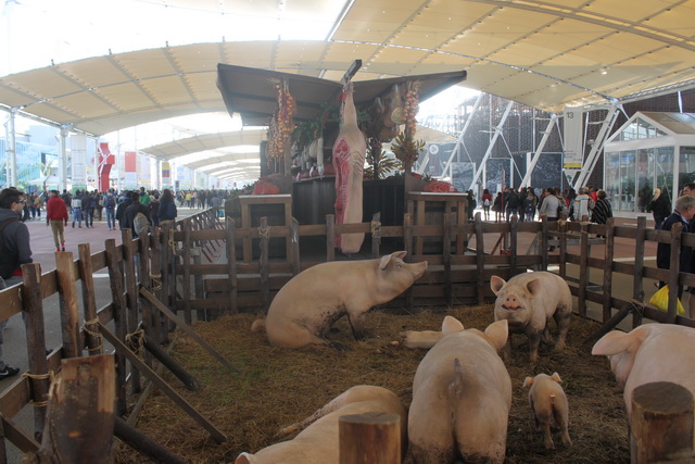 Gita a Expo Milano