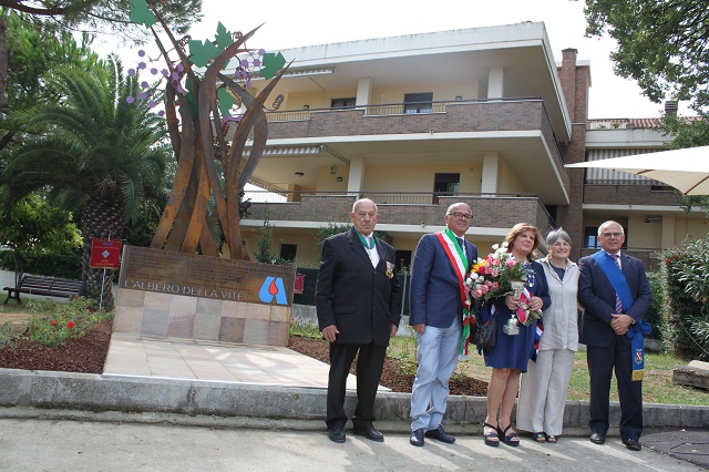 Festa Avis