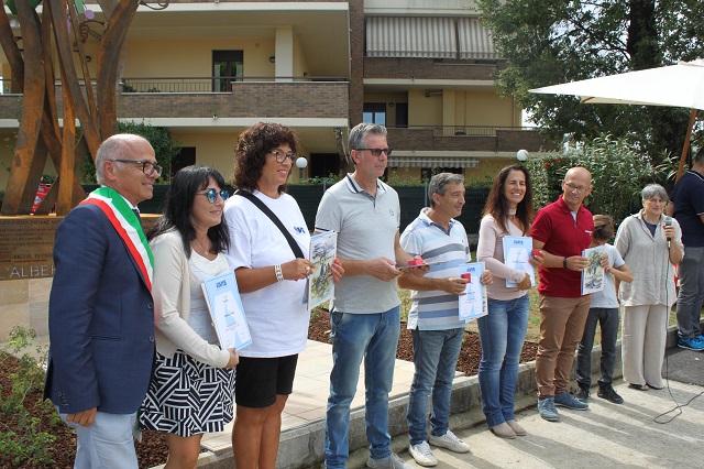 Festa Avis